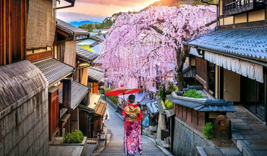 Tour of Kyoto