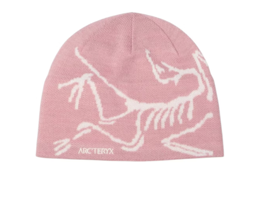 Arc'teryx Bird Head Toque Beanie