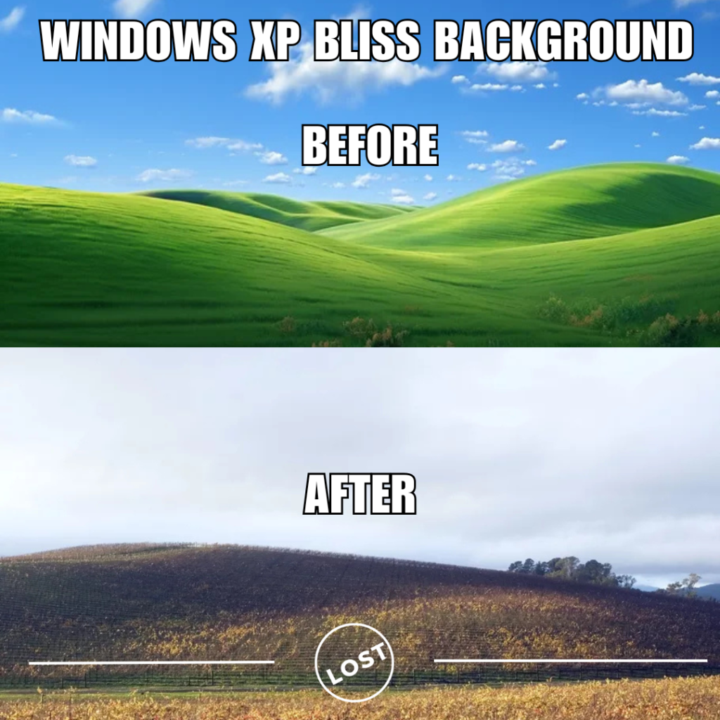 🌄 Lost: The Famous Windows XP "Bliss" Background – Before & After 😢…